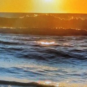 Meet your Posher, Tamara